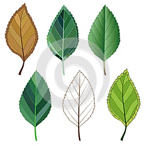 Colorful mosaic apple leaves. isolated. easy to modify.