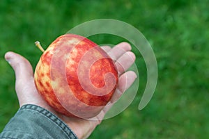 Colorful mottled apple in the hand of a man.