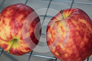 Colorful mottled apples.