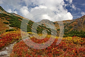 Colorful mountain landscape, autumn day in Tatras, Slovakia
