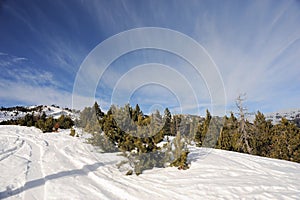 Colorful mountain landscape - mountains covered with snow and overgrown with fir trees, Vallnord, Principality of Andorra, Europe. photo