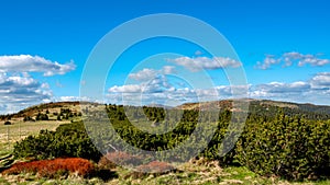 Colorful mountain ridge landscape, Jeseniky, Czech Republic. With Praded transmitter tower in the background