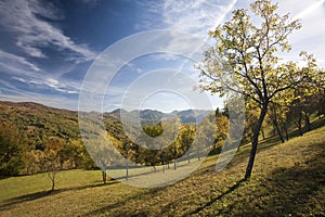 Colorful mountain scenes