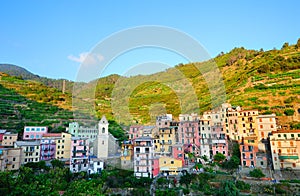 Colorful mountain village Manarola