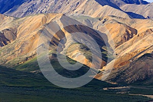 Colorful mountains in Denali National Park