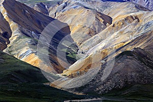 Colorful mountains in Denali National Park