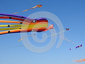 colorful multi color rainbow kite