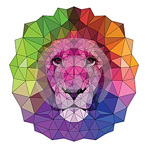 The colorful muzzle lion vector illustration with high-detailed eyes, consisting of triangles with a stroke. Low poly design