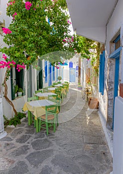 Colorful narrow alley in Milos island, Greece