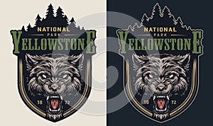 Colorful national park vintage logotype