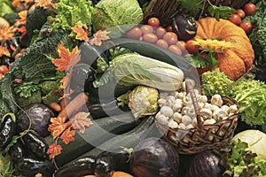 Colorful natural background of fresh organic vegetables. Vegeterian food, diet and healthy life concept. Top view