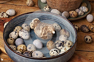 Colorful, natural quail eggs on an old wooden table.