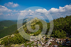 Colorful natural summer landscape in the Carpathian mountains. Landscape of summer mountains for wallpaper