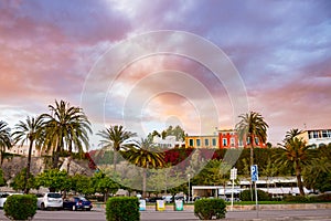 Colorful nature and sky in Palma de Mallorca, Spain photo