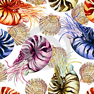 Colorful Nautilus mollusk Nautilus pompillius with shells on a white background, hand drawn watercolor. Seamless pattern