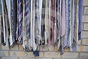 Colorful neckties hanging on the wall