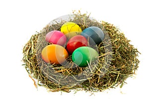 Colorful nest easter eggs