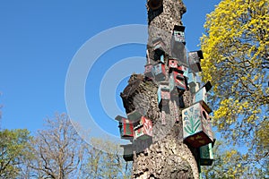 Colorful nesting-boxes