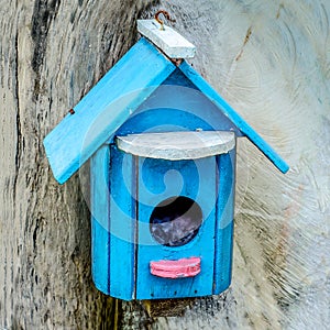 Colorful nesting boxes