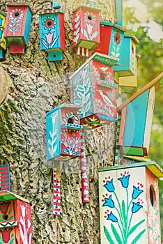 Colorful nesting boxes on the tree in summer sunshine