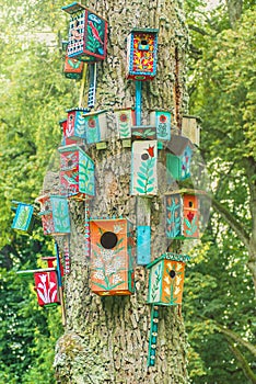Colorful nesting boxes on the tree in summer sunshine