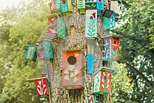 Colorful nesting boxes on the tree in summer sunshine