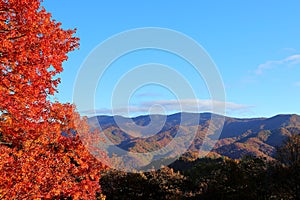 Colorful October fall foliage along the Blueridge Parkway of North Carolina