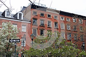 Colorful Old Brick Residential Buildings in the East Village of New York City with Flowering Trees during Spring