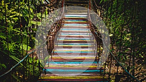 Colorful old bridge in the jungle background