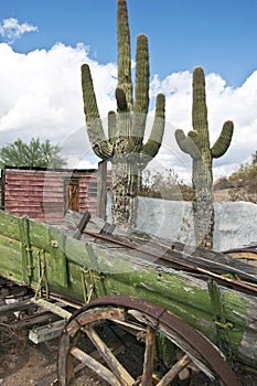 Colorful Old West Abandoned Wagon