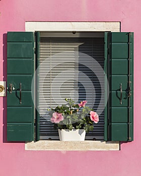 Colorful old window with flower in Venice Italy