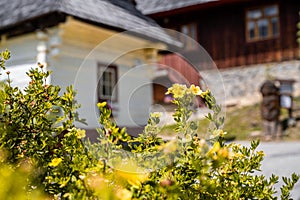 Colorful old wooden houses in Vlkolinec. Unesco heritage. Mountain village with a folk architecture. Vlkolinec, ruzomberok, liptov