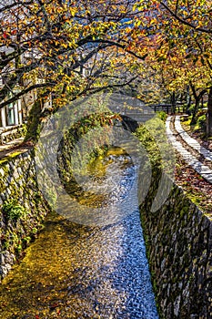 Colorful Orange Berries Fall Philosopher's Walk Canal Kyoto Japan