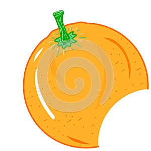 Colorful orange citrus fruit illustration. Idea for summer spring holidays, natural fresh themes. Isolated vector art.