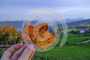 Colorful orange maple leaf in woman`s hands across beautiful mountains landscape. Autumn concept. Copy space