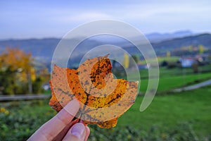 Colorful orange maple leaf in woman`s hands across beautiful mountains landscape. Autumn concept. Copy space
