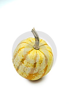 Colorful orange and white ornamental gourd