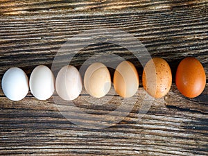 Colorful organic chicken eggs in row on wooden table from light to dark.