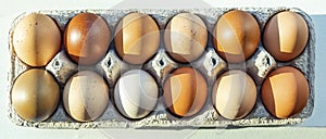 Colorful organic eggs