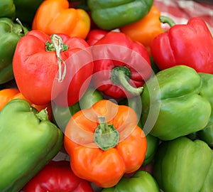 Colorful organic peppers