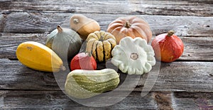 Colorful organic pumpkins, blue and kuri squashes and acorns photo