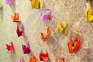 Colorful origami birds with colorful plastic pins