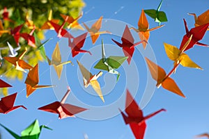 Colorful origami birds flying. Sky background.