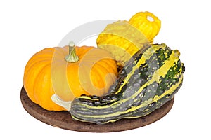 Colorful ornamental pumpkins and gourds on white backgr