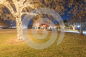 Colorful outdoor holiday tree lights and fall foliage at public