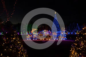 Colorful outdoor winter holiday lights