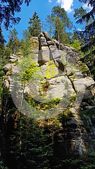 Colorful overgrown sandstone rock wall in a forest, Saxony, Germany