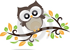 colorful owl cute in vector