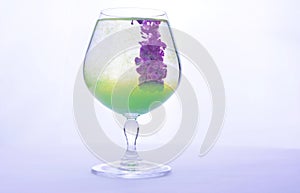 Colorful paint in water in a crystal glass on a white background