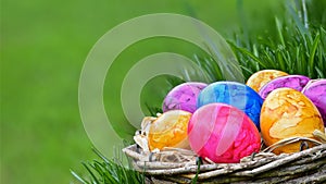 Colorful painted easter eggs in basket outside in spring, copy space